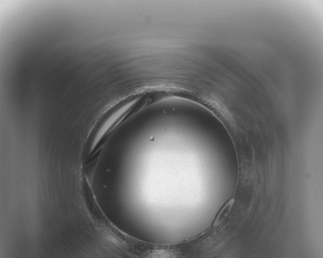 X0000071390111200606301846