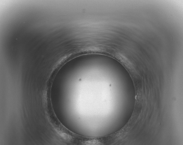 X0000071390112200606301846