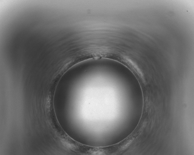 X0000071390113200606301846