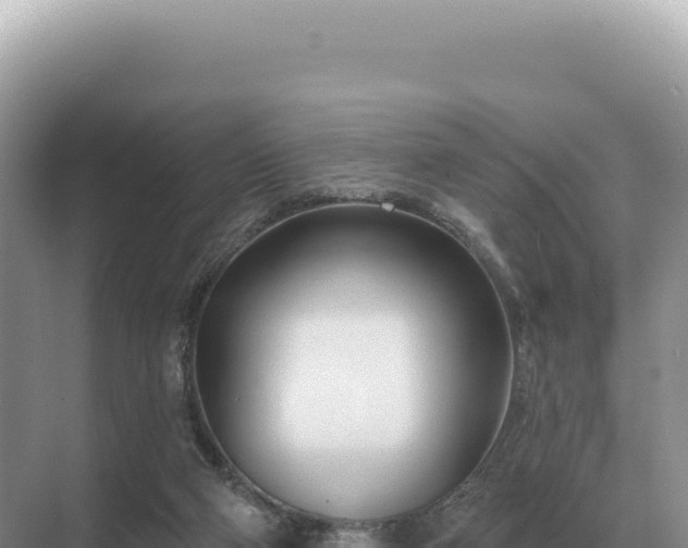 X0000071390114200606301846