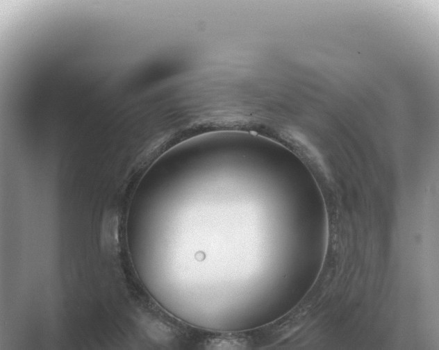 X0000071390115200606301846