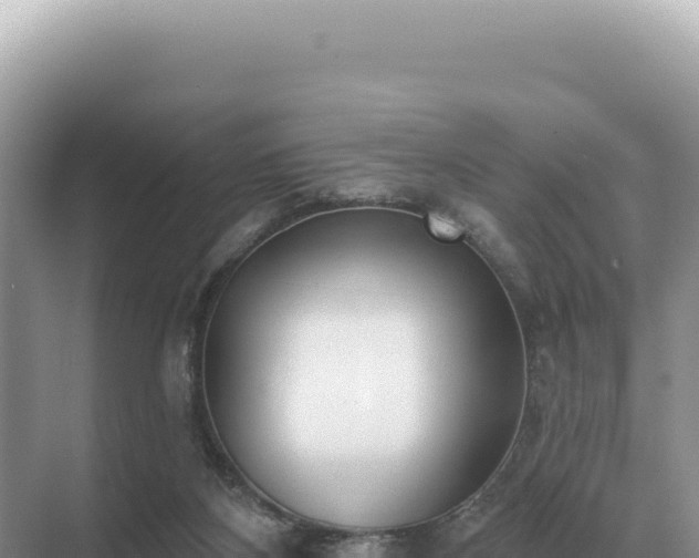 X0000071390116200606301846