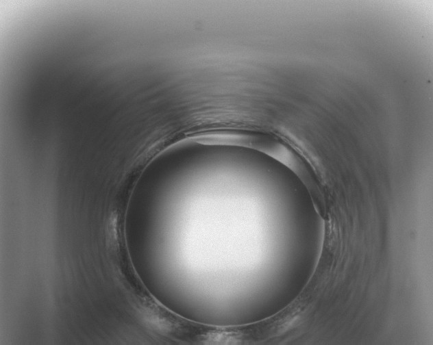 X0000071390117200606301846