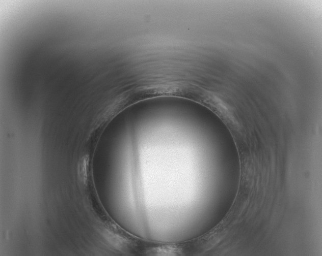 X0000071390118200606301846