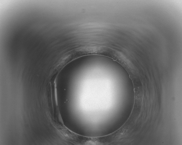 X0000071390119200606301846