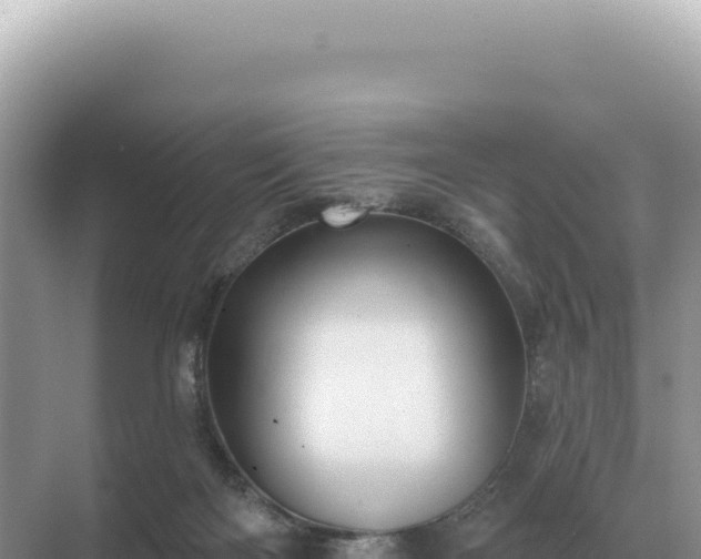 X0000071390122200606301846