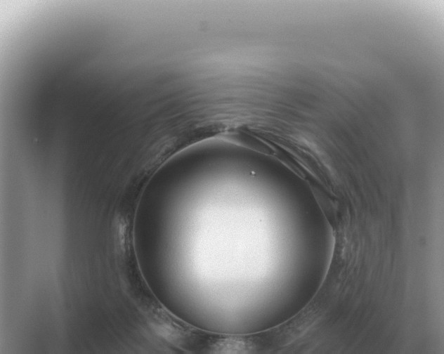 X0000071390123200606301846