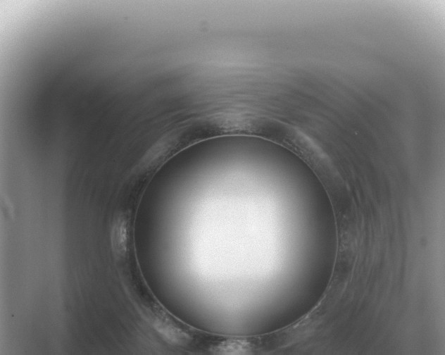 X0000071390124200606301846