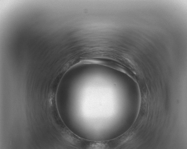 X0000071390125200606301846