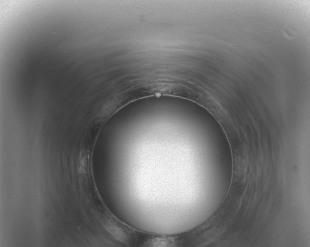 X0000071390126200606301846