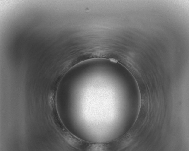 X0000071390127200606301846