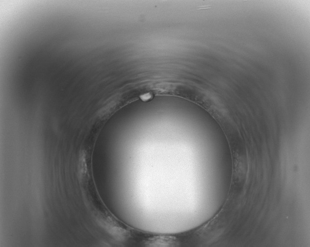 X0000071390128200606301846