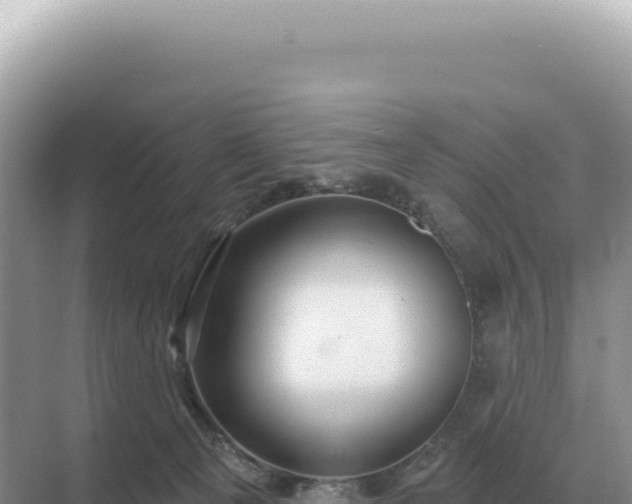 X0000071390129200606301846