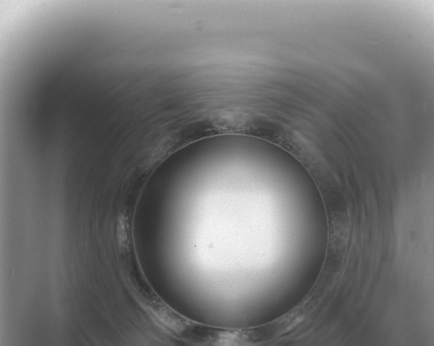 X0000071390130200606301846