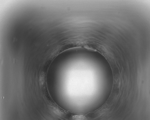 X0000071390133200606301846