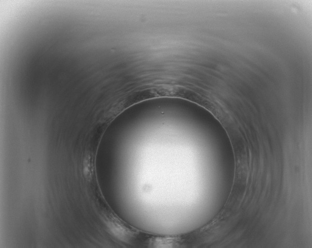 X0000071390134200606301845