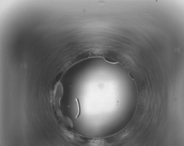 X0000071390135200606301845