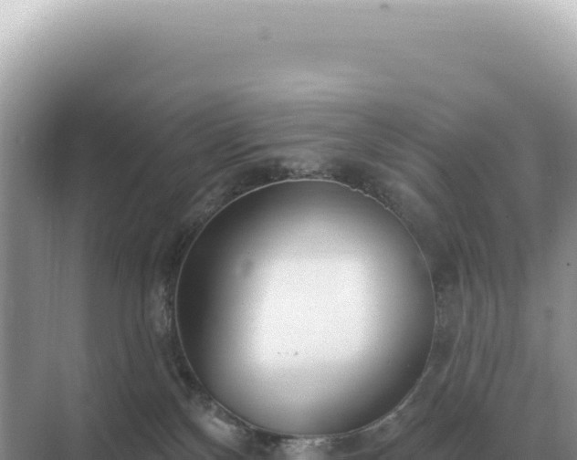 X0000071390136200606301845