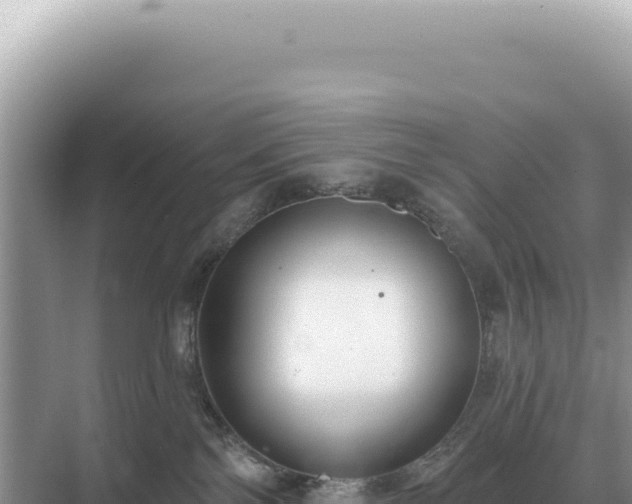 X0000071390138200606301845