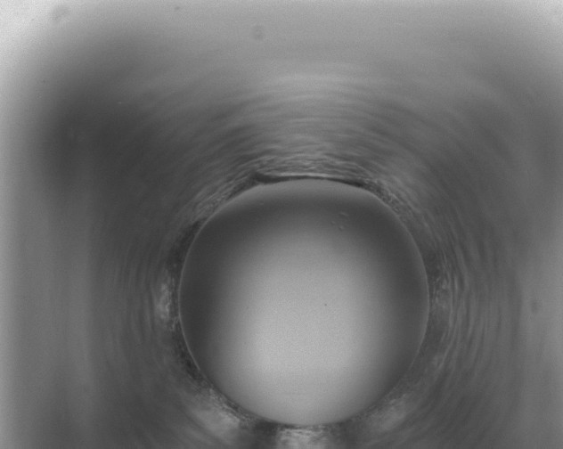 X0000071390139200606301845