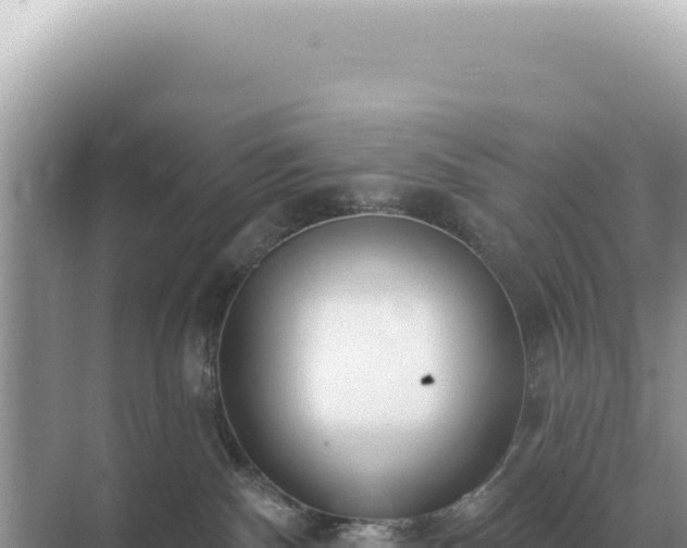 X0000071390140200606301845