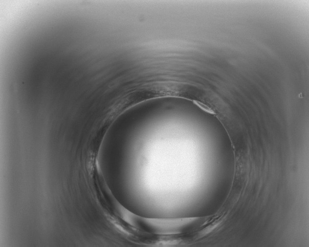 X0000071390141200606301845