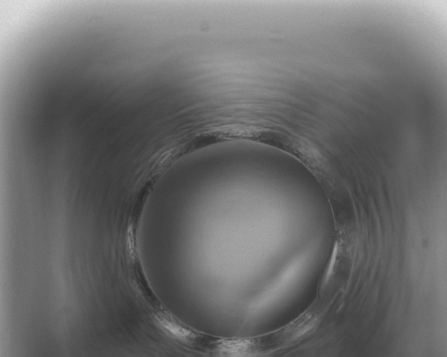 X0000071390143200606301845