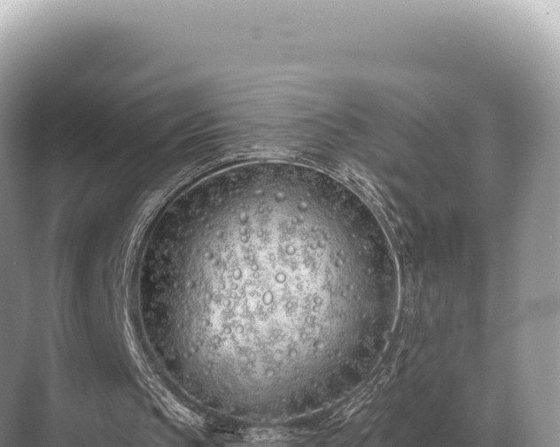 X0000071390145200606301845