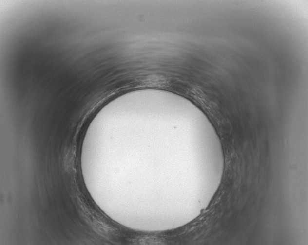 X0000071390146200606301845