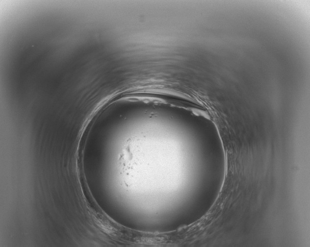 X0000071390147200606301845