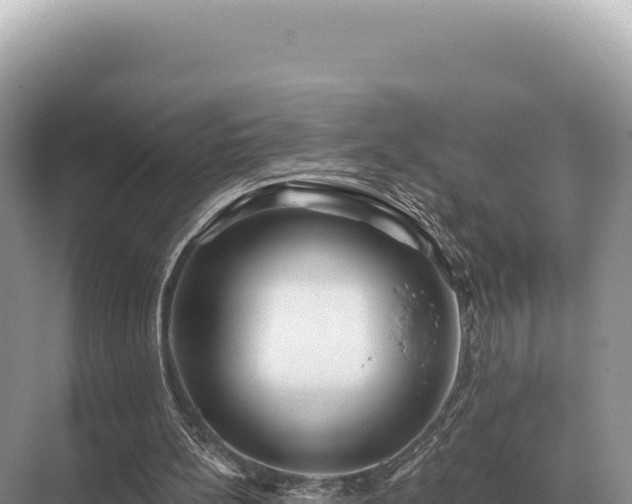 X0000071390148200606301845