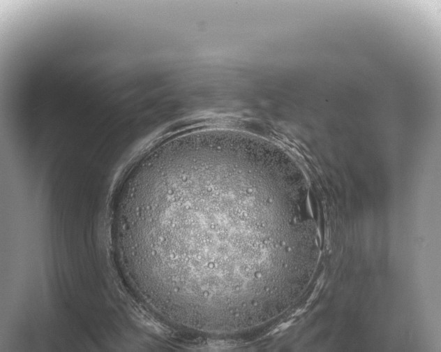 X0000071390149200606301845