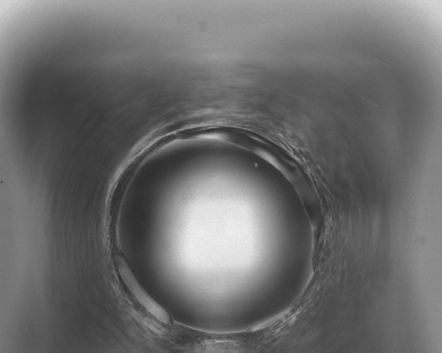 X0000071390150200606301845