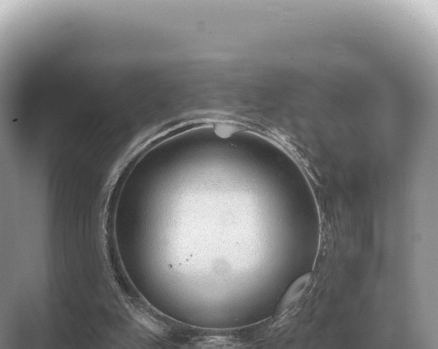 X0000071390151200606301845