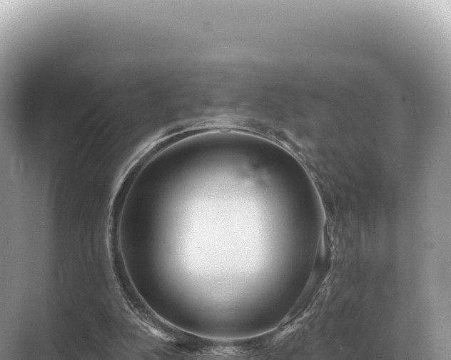 X0000071390152200606301845