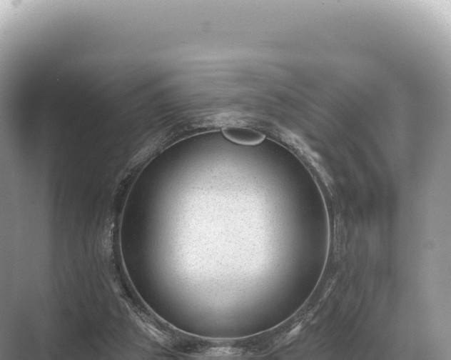 X0000071390153200606301845