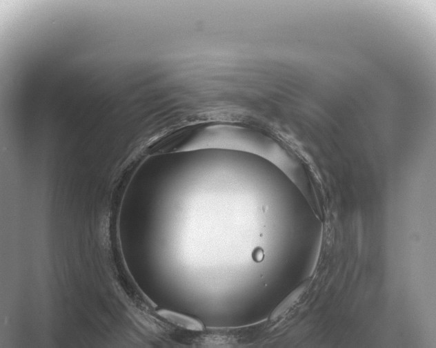 X0000071390154200606301845