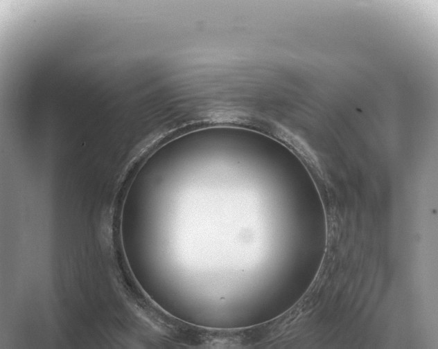 X0000071390155200606301845