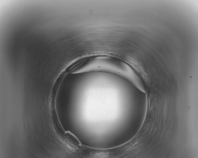 X0000071390156200606301845