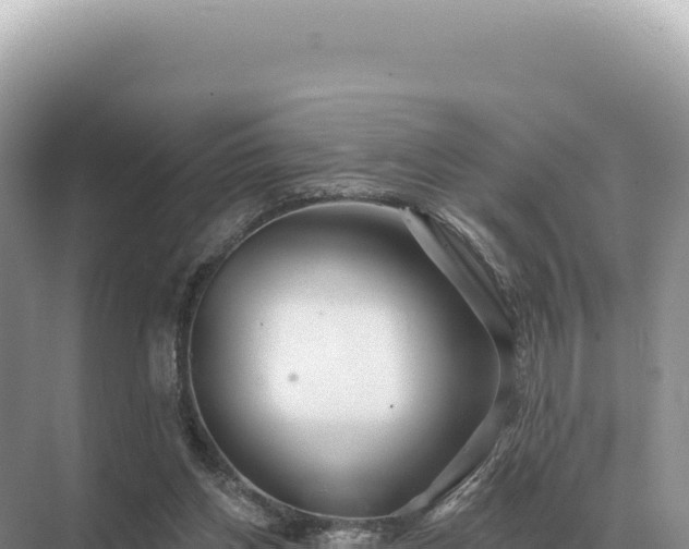 X0000071390158200606301845