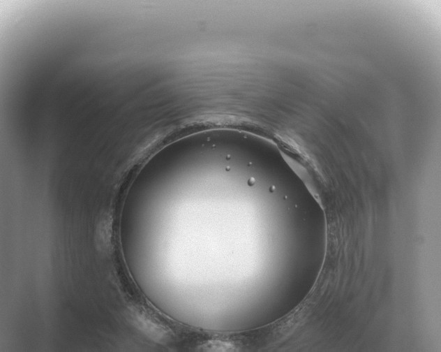 X0000071390159200606301845