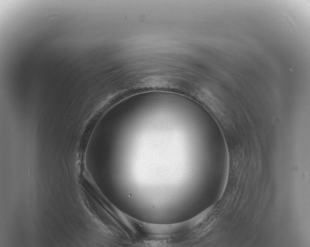 X0000071390160200606301845