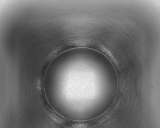 X0000071390161200606301845