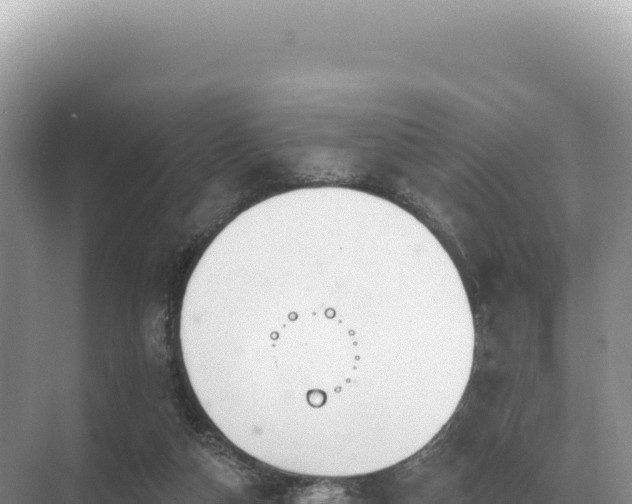 X0000071390162200606301845