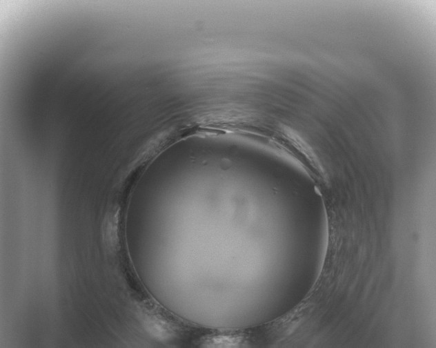 X0000071390163200606301845