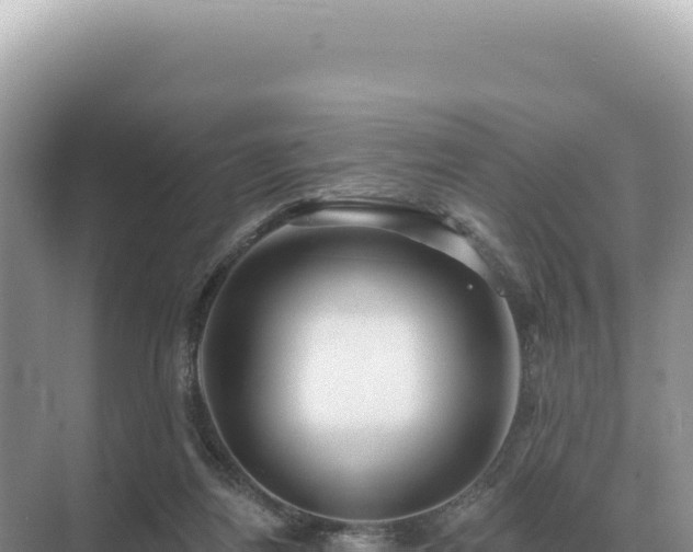 X0000071390164200606301845