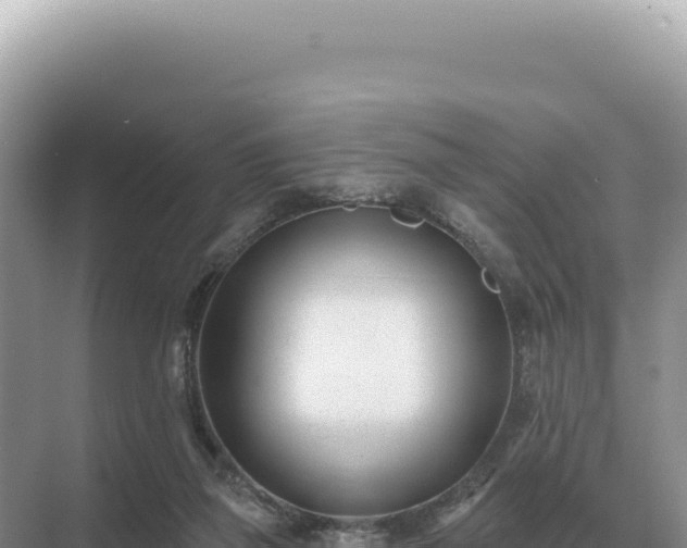 X0000071390165200606301845