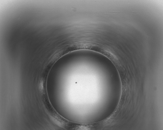 X0000071390166200606301845