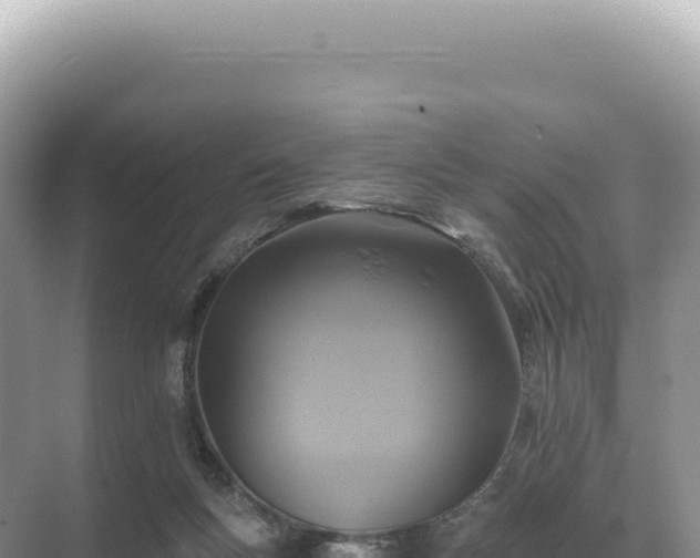 X0000071390167200606301845