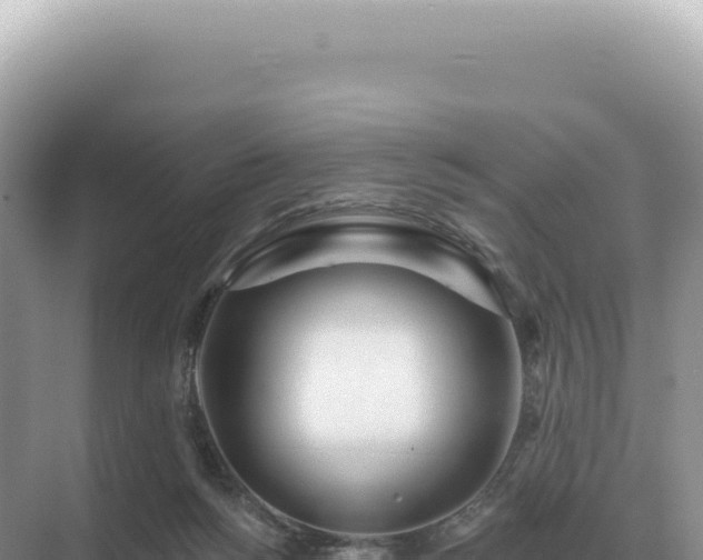 X0000071390168200606301845